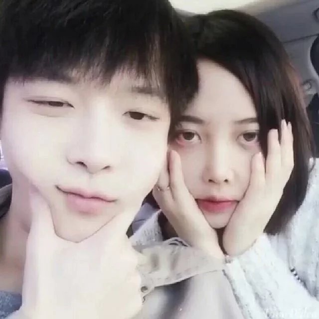 邹飞蓝苇