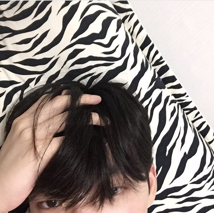 苏全贞波