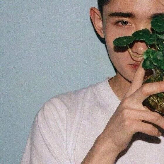 索伦雅琴